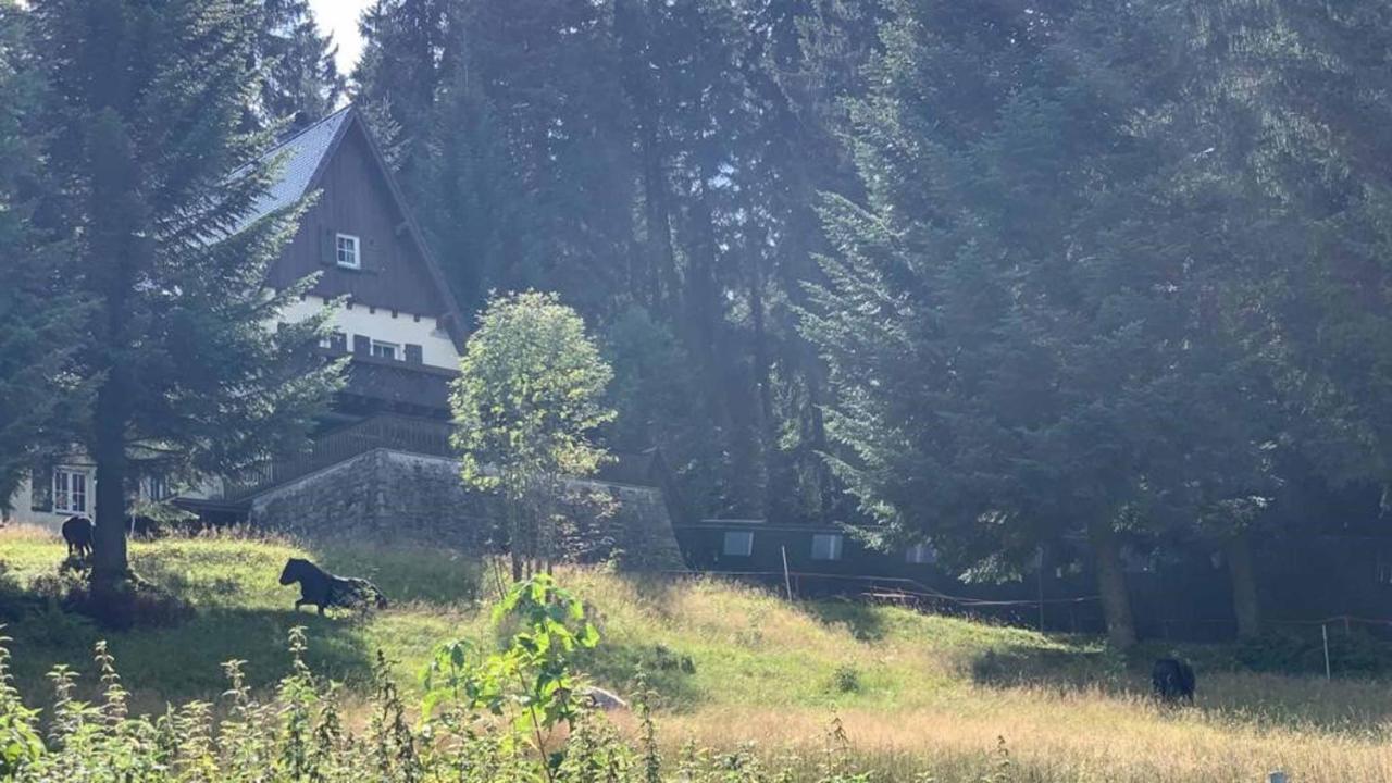 Berghaus Carlsfeld Villa Eibenstock Exterior photo